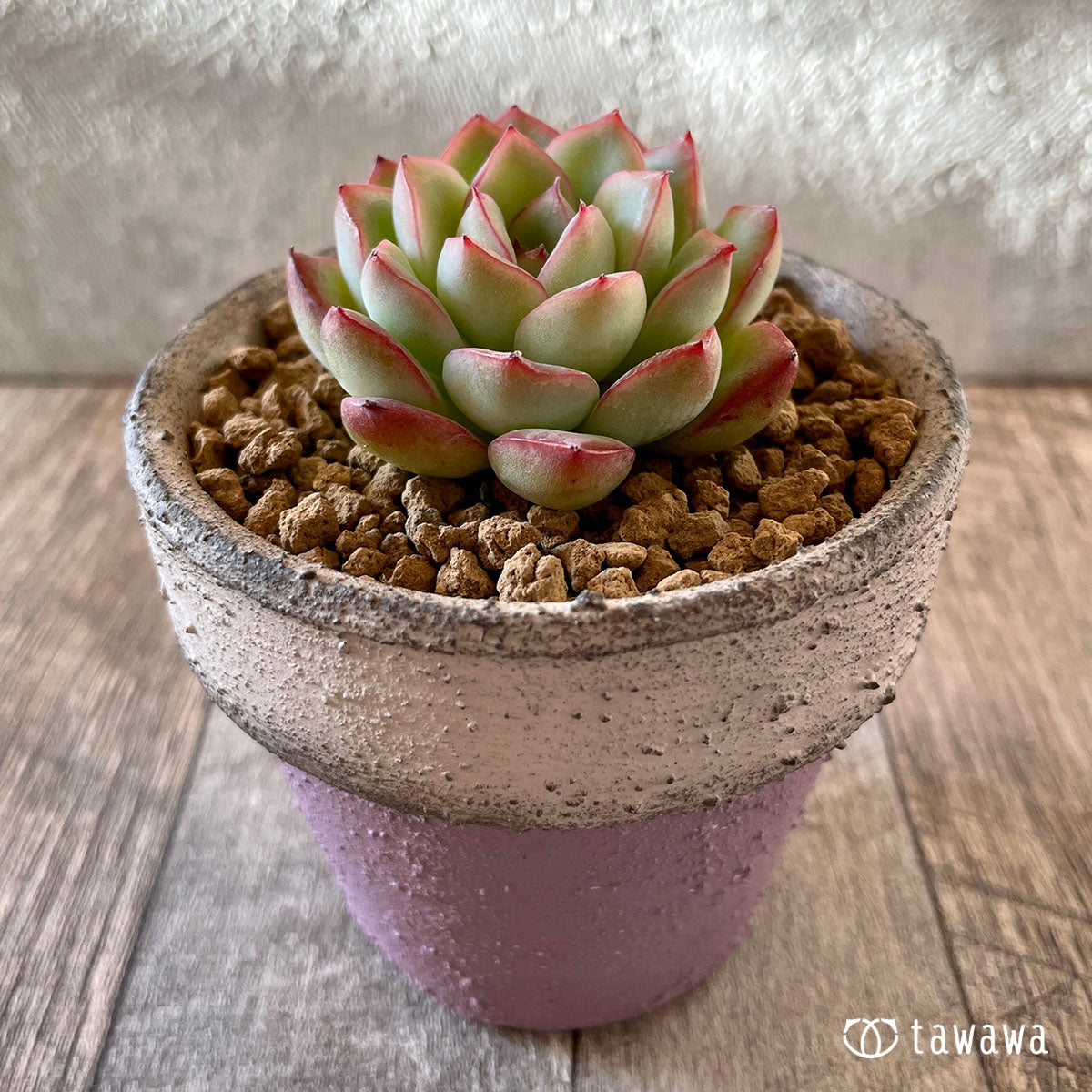 New Arrival* Cubic Frost