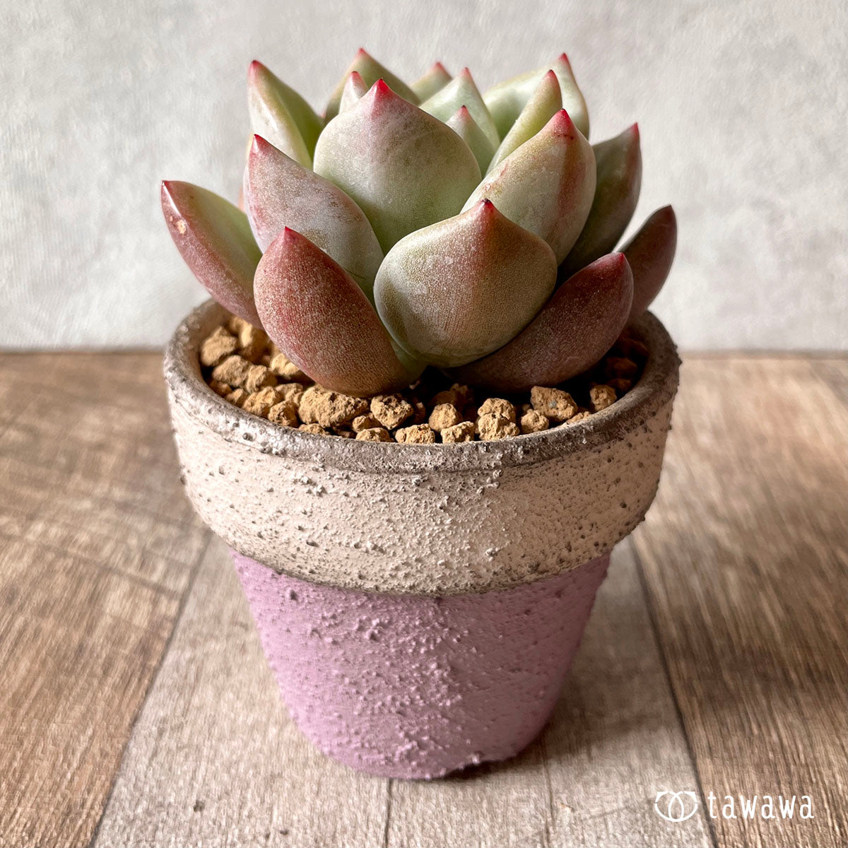 New Arrival* Cubic Frost