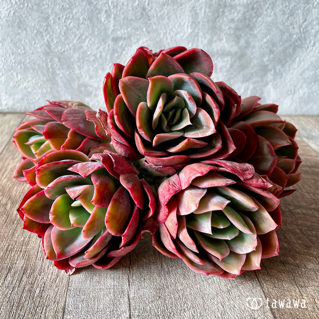 Blue Minima Blue Minima